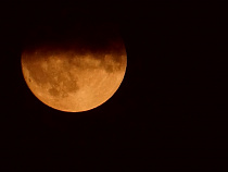 Сторож автобазы из Славска зарубил приятеля во время трапезы