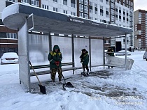 Дятлова: в Калининграде готовы к приёму нового снега