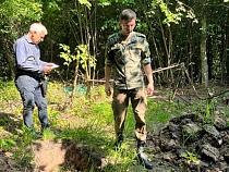 В Черняховском районе нашли останки погибших советских солдат