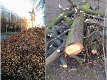 В Калининграде на Пасху изуродовали остров Канта