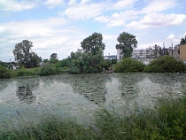 Трагедия в Черняховске: при купании погиб мужчина