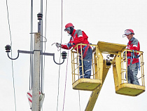 В Калининградском зоопарке слоны и бегемоты сидят без света