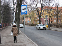 Калининградцу, оскорбившему инспектора ППС, грозит до года исправительных работ