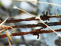 Осужденный ИК-7 набросился с кулаками на сотрудника колонии