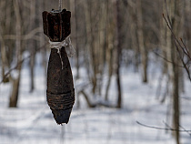 У Балтийска и в Гурьевске за день нашли целые арсеналы вооружения 1945 года