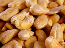 Мозамбикские кешью запретили ввозить в Калининградскую область