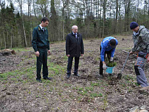 Экологи оштрафовали Гусевский, Неманский, Славский районов на 2,5 миллиона рублей 