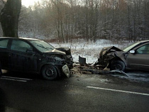 В ДТП под Зеленоградском пострадали пять человек