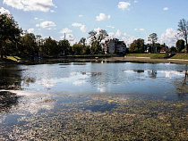 На берегоукрепление Поплавка в Калининграде выделено почти 3 млн рублей