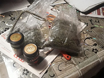 Жителей Гурьевска лишили более чем 3 кг конопли