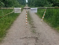 В Калининградской области людям перекрыли вход в изобилующий лисичками лес