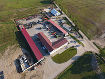 «Калининградская мясная компания» инвестирует 19 млн рублей в расширение автопарка на 20% - до 134 единиц в 2019 году