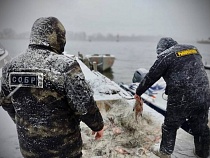 В Калининградской области силовики застали врасплох десятки браконьеров