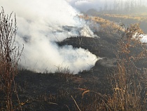 На окраине Калининграда тлеет торфяник