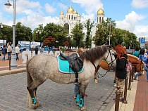 В Калининградской области нашли самые дешёвые развлечения для туристов