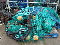 В Куршском заливе поймали браконьера