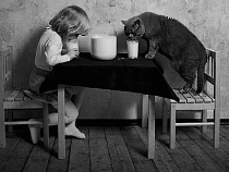 Польское молоко стало дешевле воды