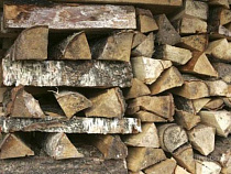 Пора и о дровишках подумать: в Калининграде завершается прием документов на получение древесины