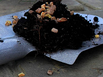 В регионе вновь задержаны бригады «черных копателей» янтаря