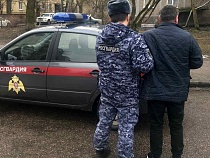 В Калининграде хозяин злой собаки угрожал пистолетом