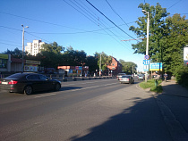 При обрезке дерева в Калининграде чуть не погиб рабочий