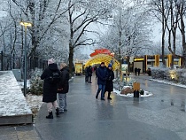 Немцы не нашли данных о своей зимовке в Калининграде