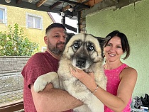 Из колодца под Калининградом вытащили огромную хаски