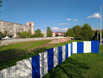 Власти Калининграда дали добро на вырубку 15 деревьев у Нижнего пруда