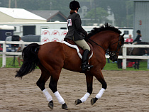 В Калининграде откроется всероссийский турнир по пятиборью им. Попова