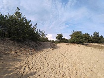 «Летать как птицы!»: МТС и «Куршская коса» запускают проект «Место силы»