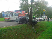 На Советском проспекте "Митсубиси" впечатался в дерево