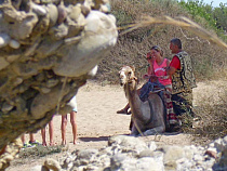 Цуканов о главе Славска: три страны посетил круизом 