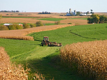 Сельхозземли в Калининградской области предлагают безвозмездно отдать религиозным общинам и казакам 