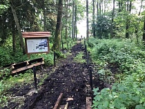 На Куршской косе возводят две новые обзорные площадки