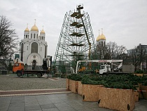 Названа дата начала установки главной ёлки Калининграда к Новому году