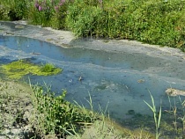 Отходы зверофермы привели к помутнению воды в реке Нельма