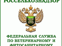 Россельхознадзор не пустил в область мясо курицы и пиломатериалы