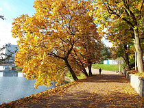 В Калининград ещё вернётся лето