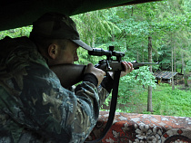 Охота: в Калининградской области косуль на всех желающих поохотиться не хватает