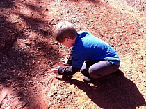 Калининградца подозревают в изнасиловании двоих сыновей сожительницы