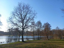 Названо место бесплатного оздоровления в Калининграде