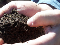 В Калининграде 15 собственников земли привлечены к административной ответственности