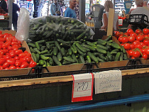 Администрация Калининграда ничего не добилась от Павла Купцова