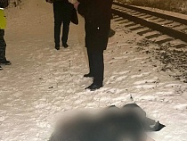 Трагедия на Сельме: поезд задавил 47-летнего калининградца