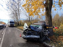 На балтийской  трассе «Тойота» врезалась в грузовик 