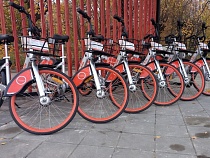 В Калининграде решили соединить все велодорожки