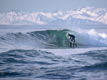 В Зеленоградске пройдет фестиваль сёрфинг-культуры Locals Only