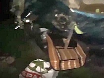 Между Гусевом и Черняховском погиб 59-летний водитель