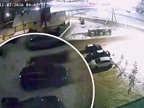 Любителя собак в Зеленоградске внезапно охватила страсть к скутеру