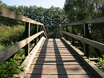 Деревянный мостик через ручей Лесной восстановили за счет внебюджетных средств